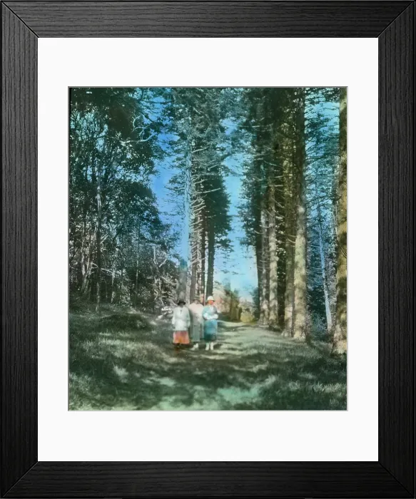 Framed Print : TRURI-1990-2-12-59