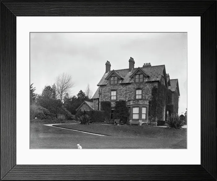 Framed Print : TRURI-TRUcah-1