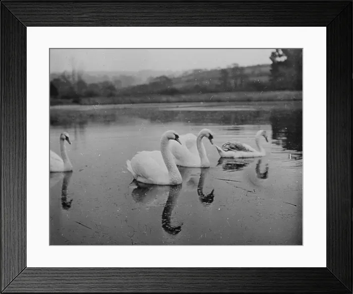 Framed Print : TRURI-1990-2-12-78 Framed Print : TRURI-1990-2-12-78
