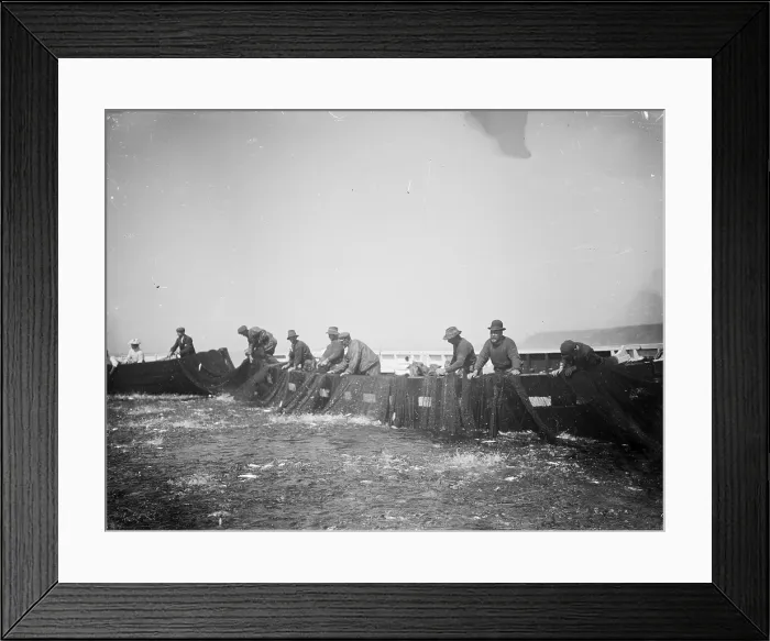 Framed Print : TRURI-SENcv-15 Framed Print : TRURI-SENcv-15