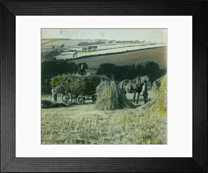 Framed Print : TRURI-1990-2-15 Framed Print : TRURI-1990-2-15