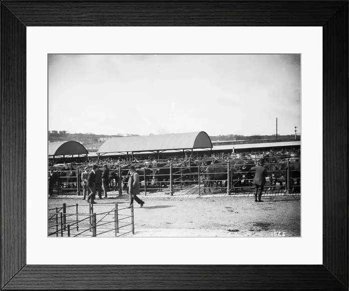 Framed Print : TRURI-TRUcam-2