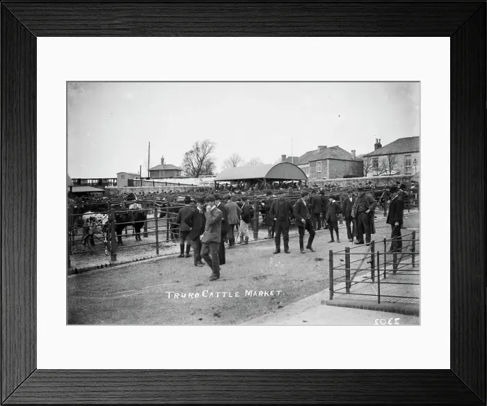 Framed Print : TRURI-TRUcam-3 Framed Print : TRURI-TRUcam-3