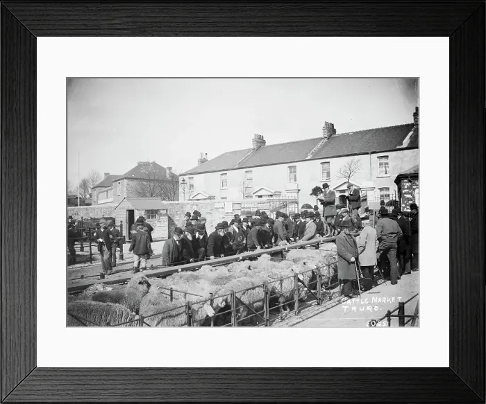Framed Print : TRURI-TRUcam-4