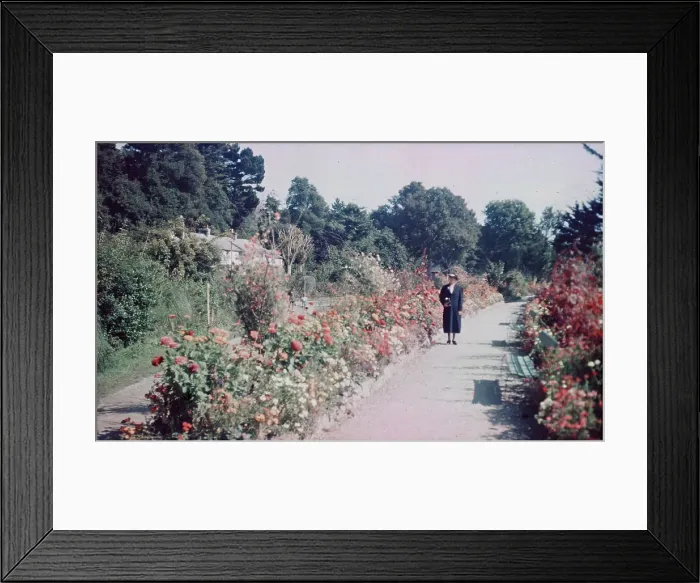 Framed Print : TRURI-1990-2-38