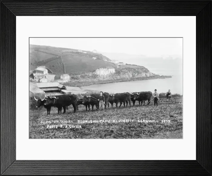 Framed Print : TRURI-1995-40-1 Framed Print : TRURI-1995-40-1