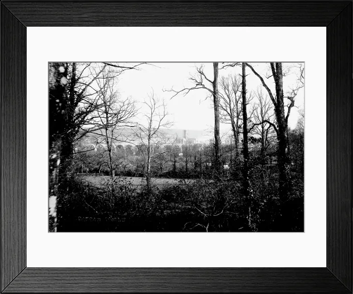 Framed Print : TRURI-TRUgev-41 Framed Print : TRURI-TRUgev-41