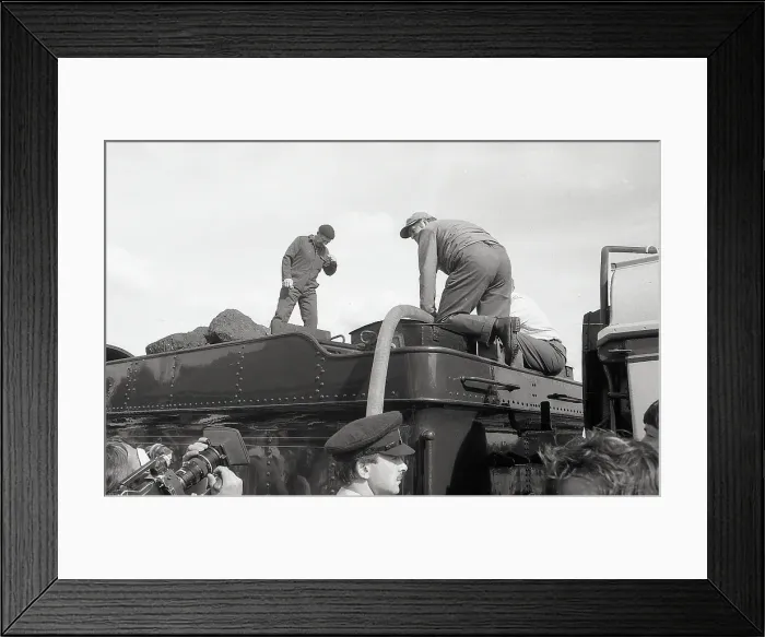 Framed Print : TRURI-2017-5-49 Framed Print : TRURI-2017-5-49