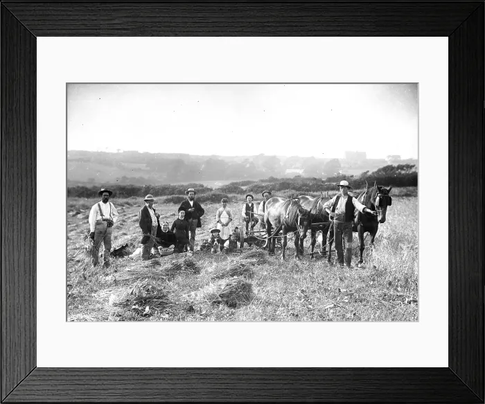 Framed Print : TRURI-AG-341