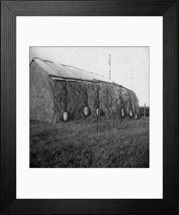 Framed Print : TRURI-AG-376 Framed Print : TRURI-AG-376