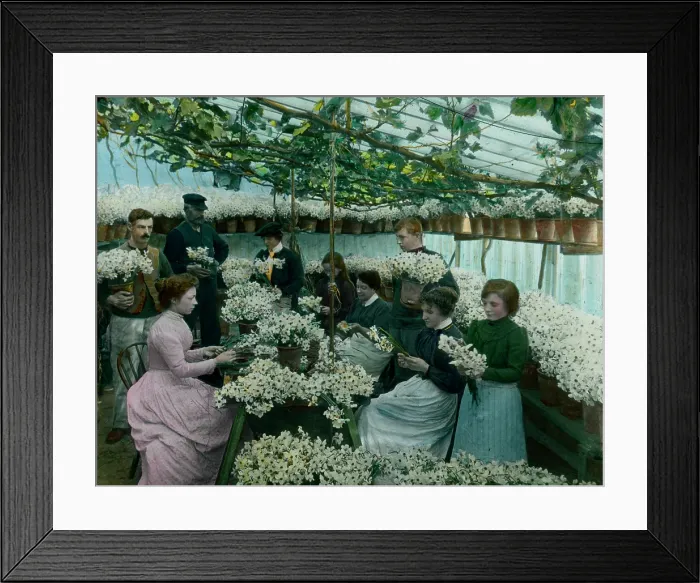 Framed Print : TRURI-AG-382