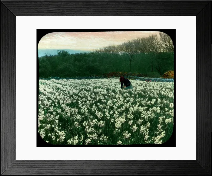 Framed Print : TRURI-AG-384