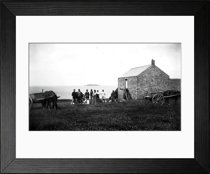 Framed Print : TRURI-AG-393 Framed Print : TRURI-AG-393