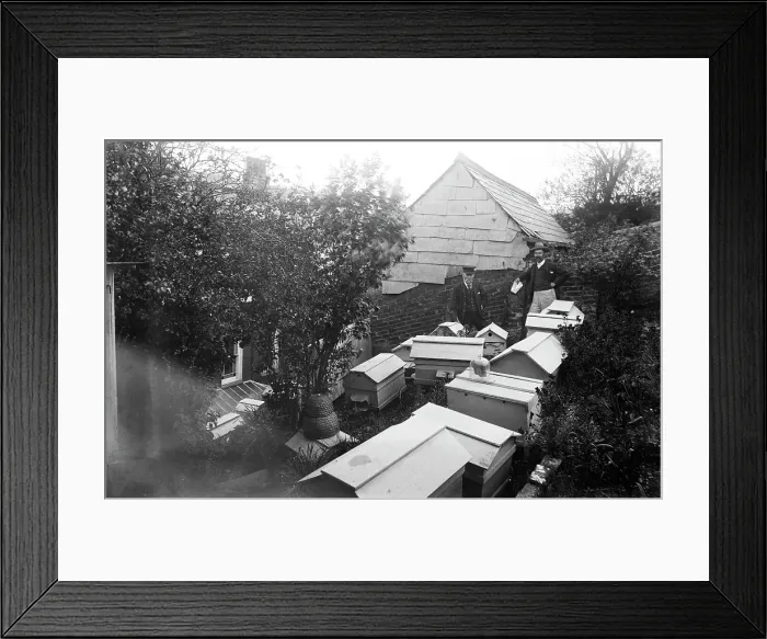 Framed Print : TRURI-AG-418