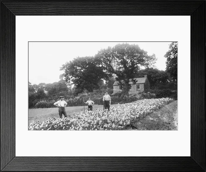 Framed Print : TRURI-AG-488