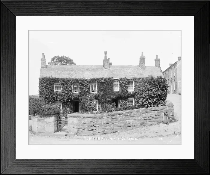 Framed Print : TRURI-AGNrr-1 Framed Print : TRURI-AGNrr-1