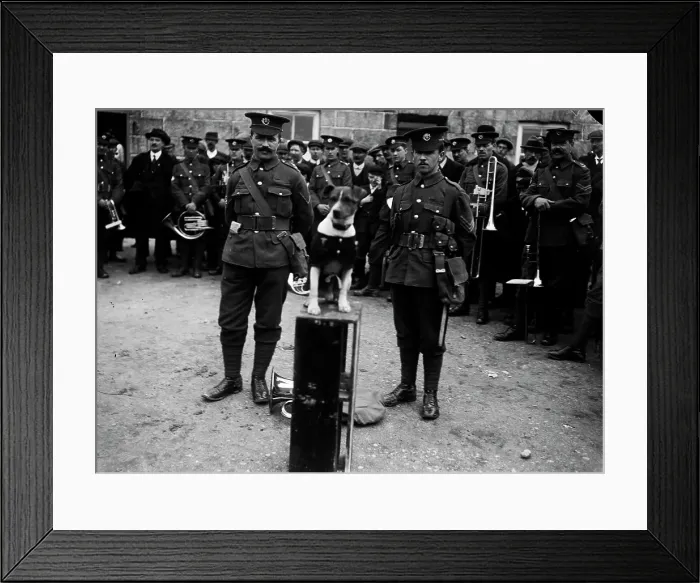 Framed Print : TRURI-TRUwmi-15