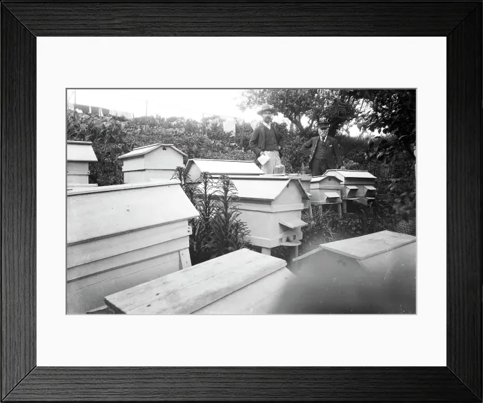 Framed Print : TRURI-AG-419 Framed Print : TRURI-AG-419