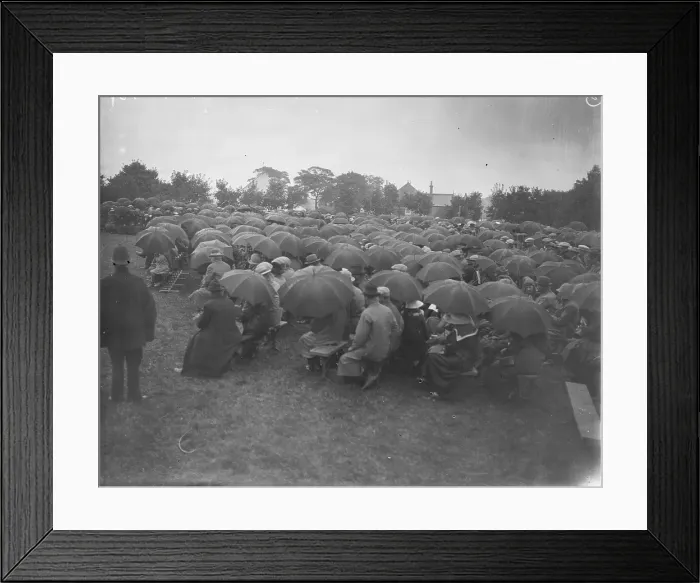Framed Print : TRURI-BUGgv-2