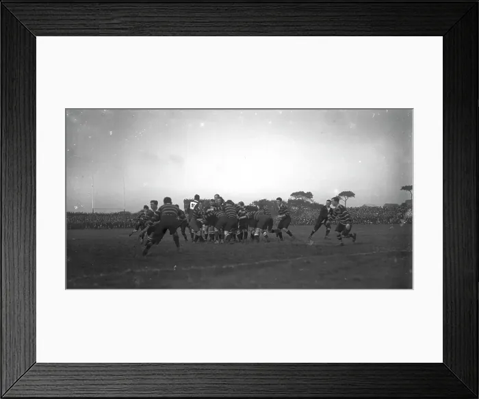 Framed Print : TRURI-VUsrg-4