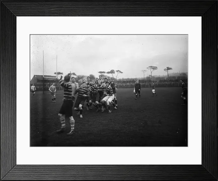 Framed Print : TRURI-VUsrg-5 Framed Print : TRURI-VUsrg-5