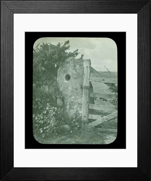 Framed Print : TRURI-BURvr-6 Framed Print : TRURI-BURvr-6