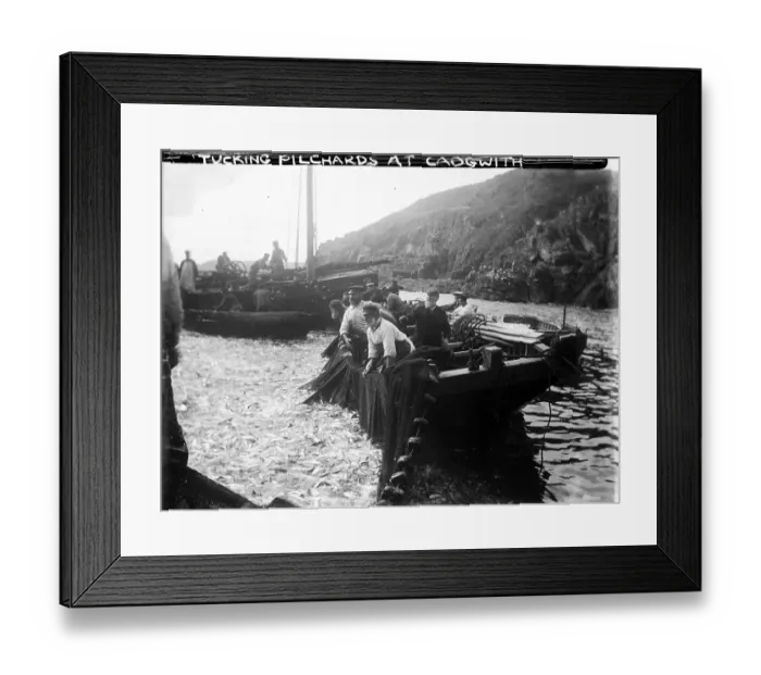 Framed Print : TRURI-CADgv-2