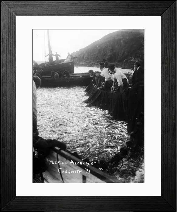 Framed Print : TRURI-CADgv-3