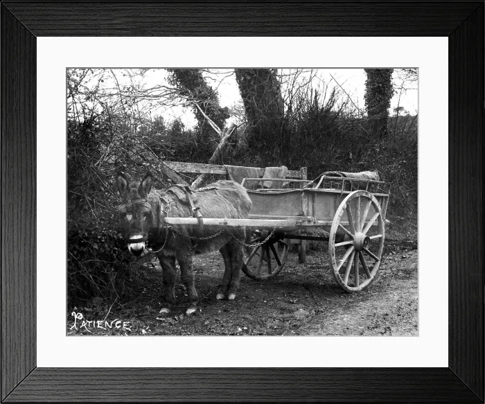 Framed Print : TRURI-TTdky-10