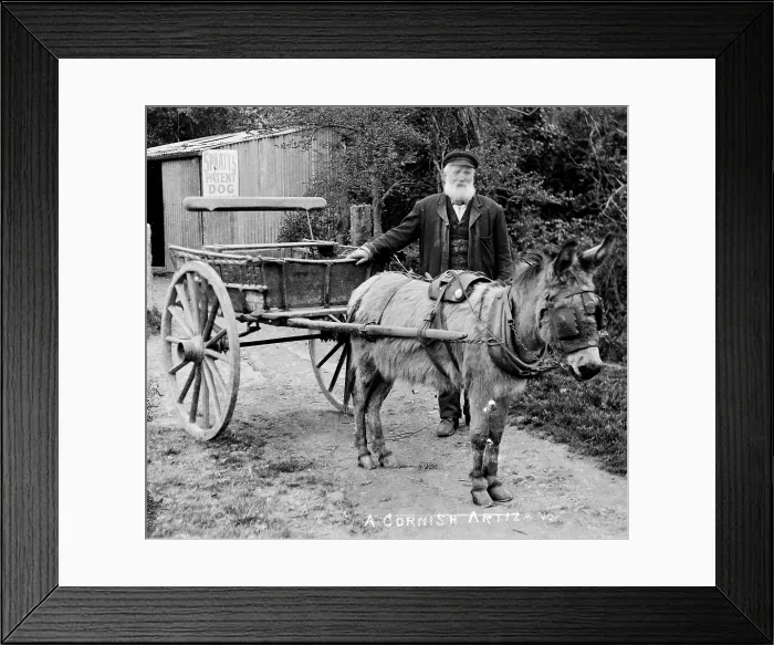 Framed Print : TRURI-TTdky-11