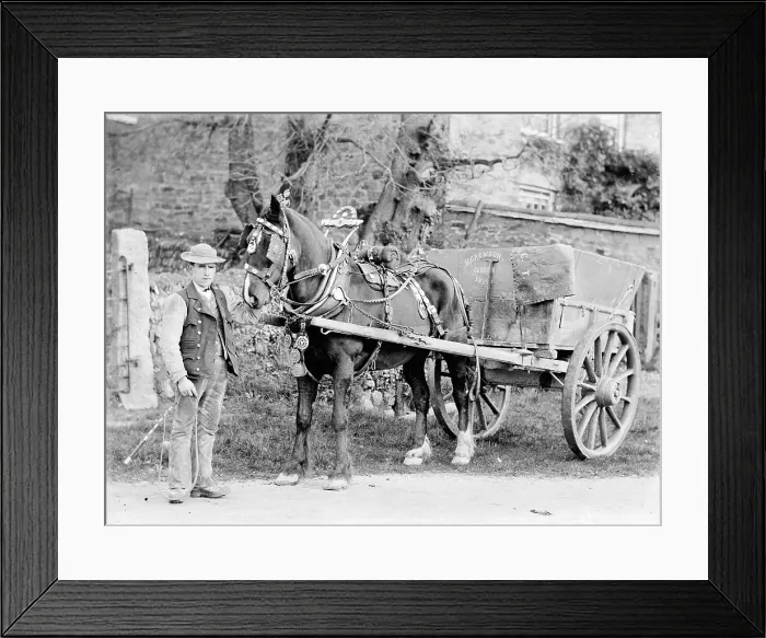 Framed Print : TRURI-TThps-24