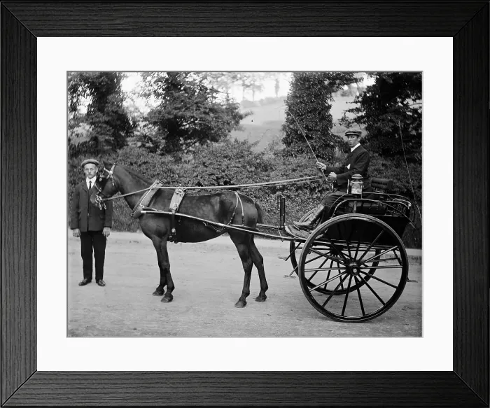 Framed Print : TRURI-TThps-25 Framed Print : TRURI-TThps-25