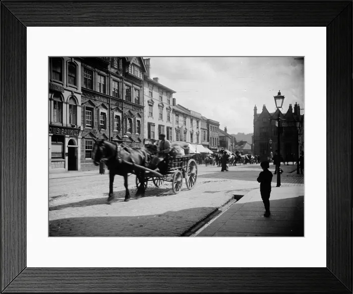 Framed Print : TRURI-TThps-30 Framed Print : TRURI-TThps-30