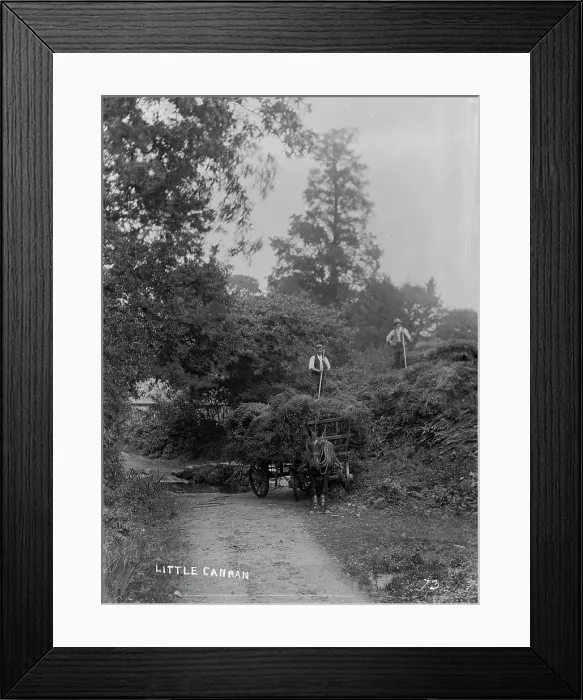 Framed Print : TRURI-AG-651 Framed Print : TRURI-AG-651