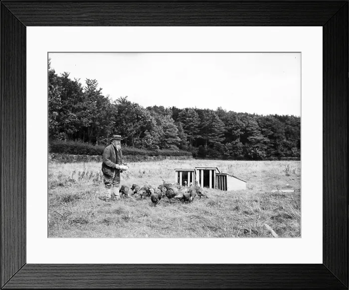 Framed Print : TRURI-CAMpn-9