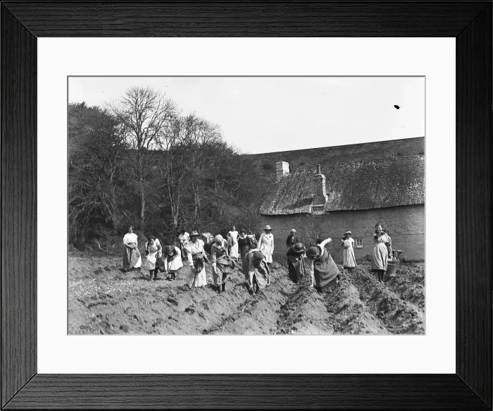 Framed Print : TRURI-1972-2-303