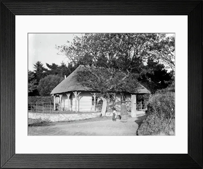 Framed Print : TRURI-CLMvr-2