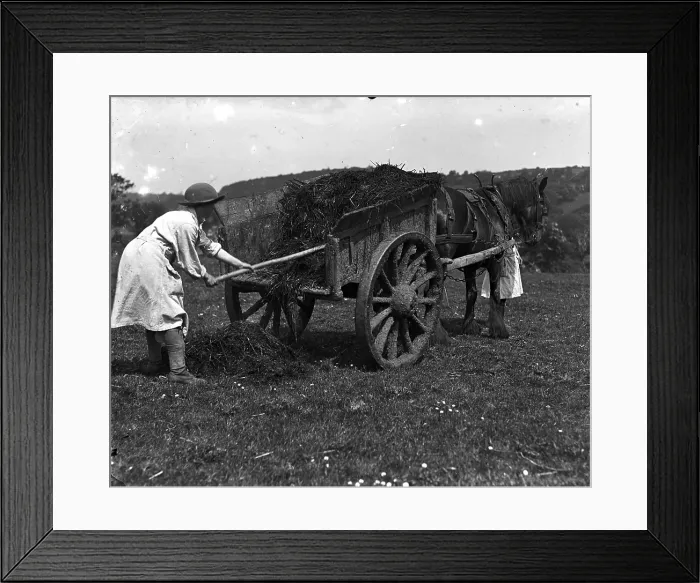 Framed Print : TRURI-1972-2-314 Framed Print : TRURI-1972-2-314