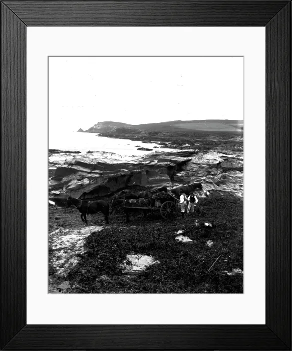 Framed Print : TRURI-1967-26-2