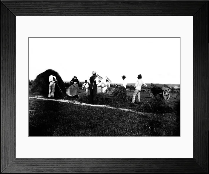 Framed Print : TRURI-1967-26-5