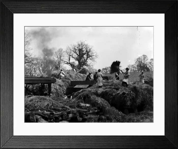Framed Print : TRURI-1972-2-279 Framed Print : TRURI-1972-2-279