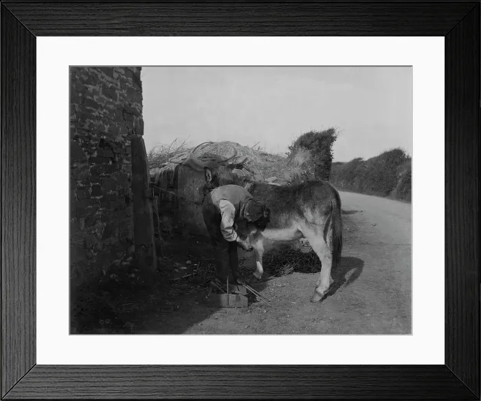 Framed Print : TRURI-1967-26-9