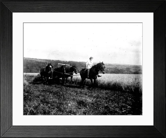 Framed Print : TRURI-1972-2-231 Framed Print : TRURI-1972-2-231