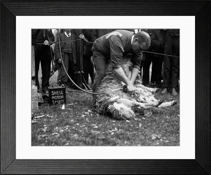 Framed Print : TRURI-1972-2-367