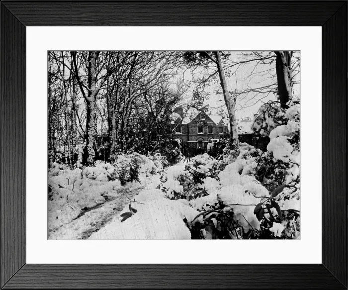 Framed Print : TRURI-CAMbz-13 Framed Print : TRURI-CAMbz-13