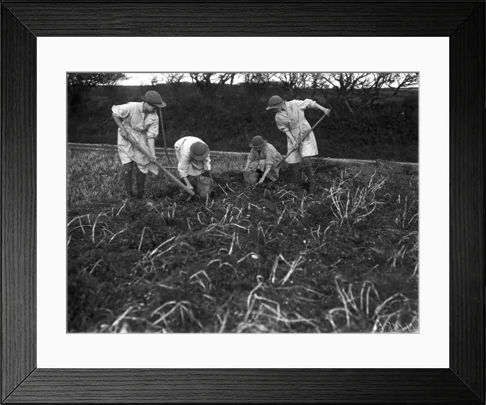 Framed Print : TRURI-1972-2-236 Framed Print : TRURI-1972-2-236