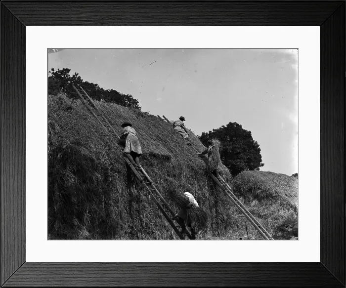 Framed Print : TRURI-1972-2-323