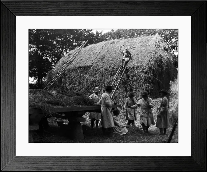 Framed Print : TRURI-1972-2-324