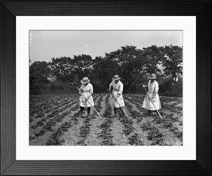 Framed Print : TRURI-1972-2-325