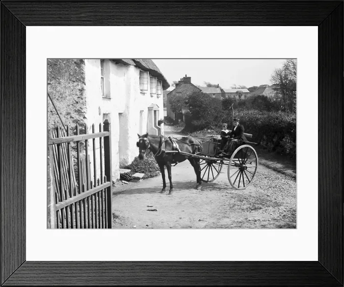 Framed Print : TRURI-CRArg-8